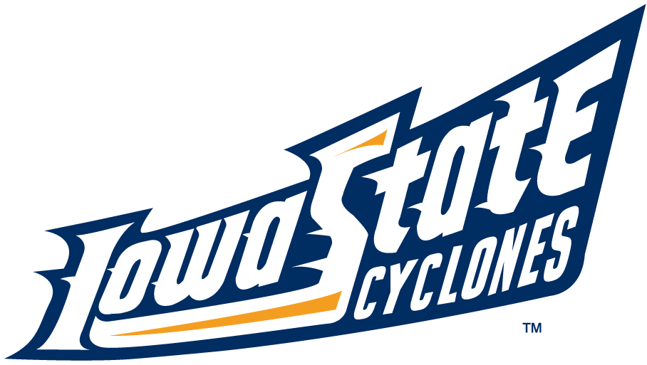 Iowa State Cyclones 1995-2007 Wordmark Logo v7 diy iron on heat transfer